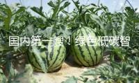 國內(nèi)第一艘！綠色低碳智能甲醇雙燃料集裝箱船今天交給