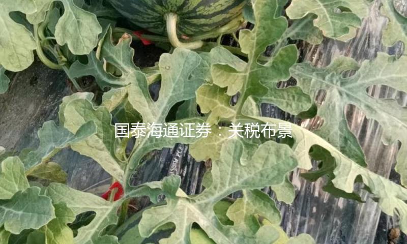 国泰海通证券：关税布景下看好农药凸显刚需特点