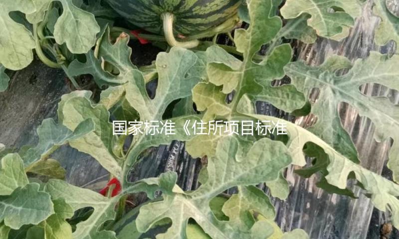 国家标准《住所项目标准》发布 为好房子建造供给辅导