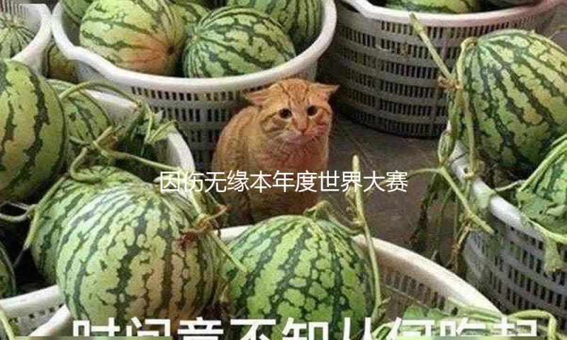 因伤无缘本年度世界大赛，伍鹏：小将涌现是功德