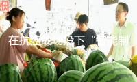 在抗癌戰(zhàn)場投下“智能制導武器”
