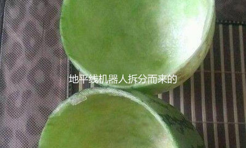 地平线机器人拆分而来的地瓜机器人完结1亿美元A轮融资 — 新京报