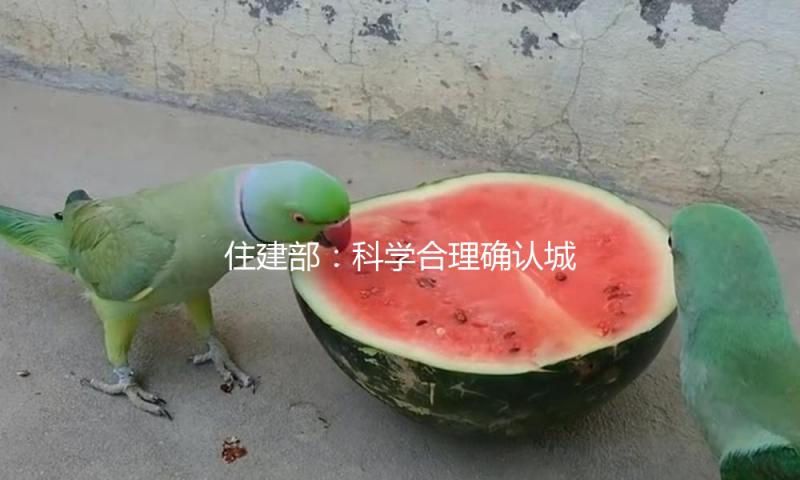 住建部：科学合理确认城市更新要点使命 根绝体面工程、形象工程 — 新京报