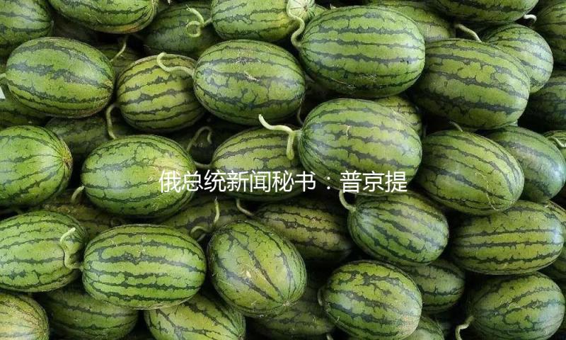 俄总统新闻秘书：普京提议商洽标明俄寻求平和解决方案志愿 — 新京报