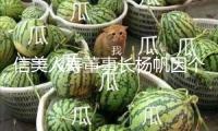 信美人壽董事長楊帆因個人原因辭去職務(wù)，總經(jīng)理胡晗將接任