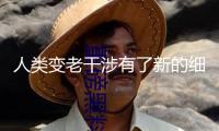 人類變老干涉有了新的細(xì)胞醫(yī)治思路