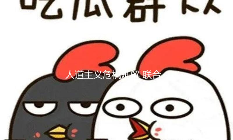 人道主义危机难解 联合国称加沙遭受“最严酷阶段”