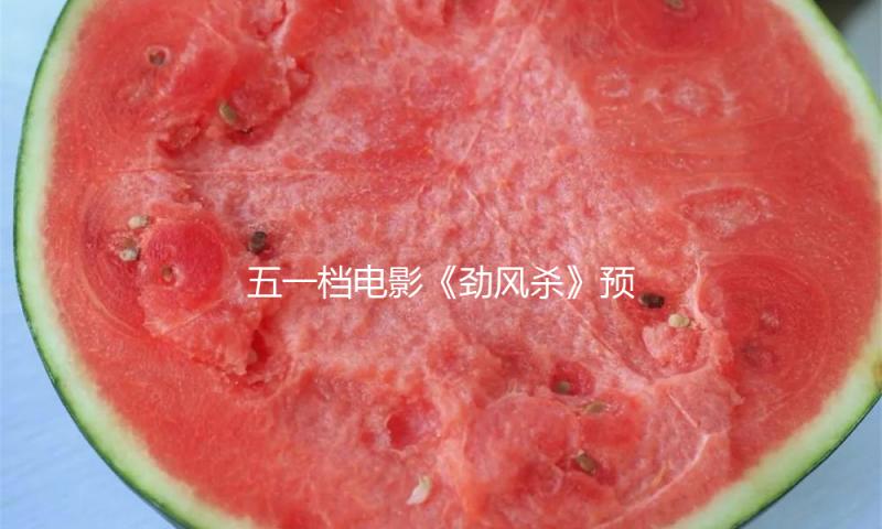 五一档电影《劲风杀》预售敞开 白客辛柏青领衔演出警匪大逃杀