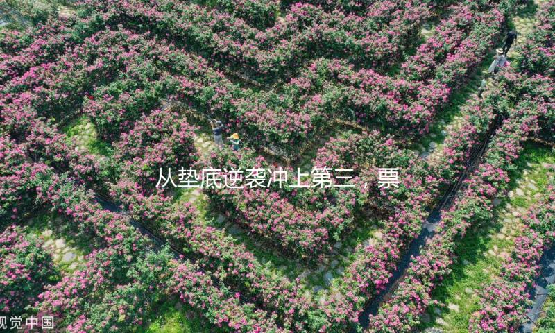 从垫底逆袭冲上第三，票房剑指10亿，新年档又诞生了一部黑马？