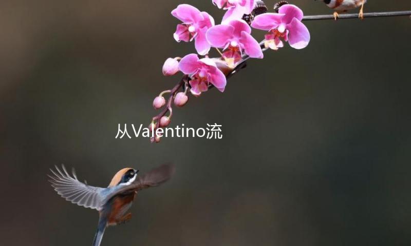 从Valentino流苏包开端的嬉皮旅程