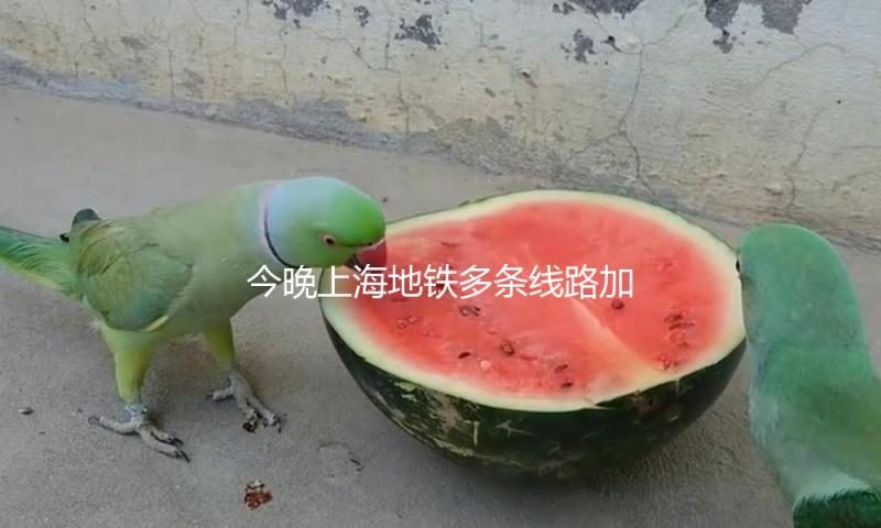 今晚上海地铁多条线路加开定点加班车，2号线运营至次日2时