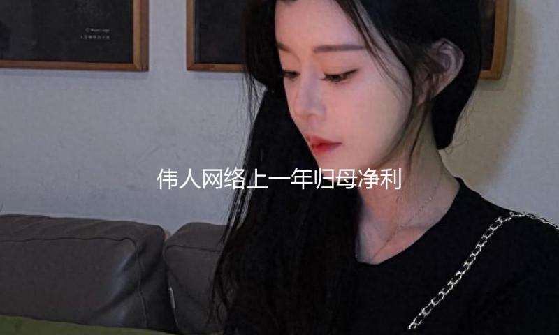 伟人网络上一年归母净利润同比增三成，小游戏奉献增量流水 — 新京报