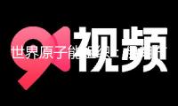 世界原子能組織：伊朗布什爾核電站若遭襲恐引發(fā)嚴(yán)重后果
