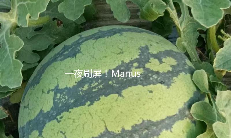 一夜刷屏！Manus AI合伙人紧迫弄清