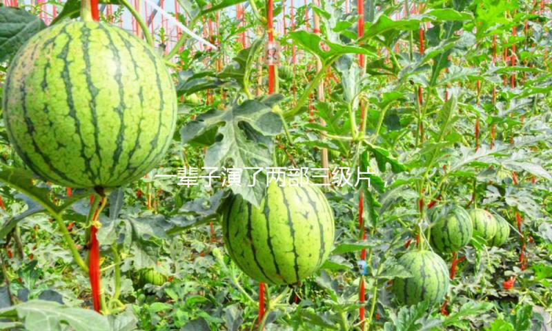 一辈子演了两部三级片，至今仍是“亚洲榜首美胸”，其间一部是《金瓶梅》