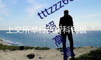 上交所舉行執(zhí)行科創(chuàng)板“1+6”方針保薦組織座談會(huì)