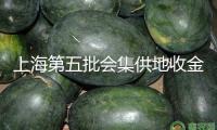 上海第五批會(huì)集供地收金212.57億元：浦東曹路宅地溢價(jià)率超40%，楊浦誕生新單價(jià)地王
