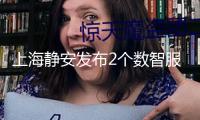 上海靜安發(fā)布2個(gè)數(shù)智服務(wù)載體服務(wù)企業(yè)，啟動(dòng)招商協(xié)同矩陣