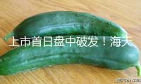 上市首日盤中破發！海天味業百億港元募資難解增加焦慮？補課國際化急尋“第二春”