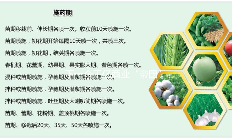 下一个千亿商业“帝国”掌门人，会是她吗？