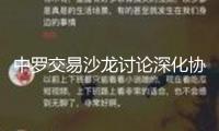 中羅交易沙龍討論深化協作新機遇