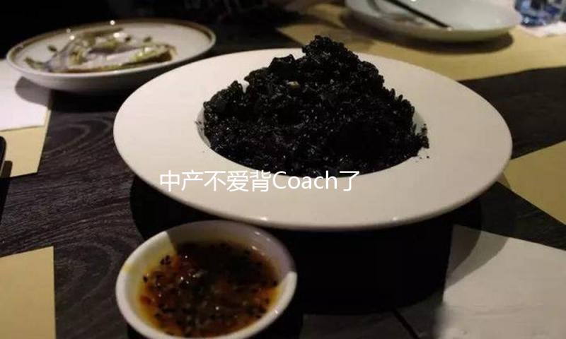 中产不爱背Coach了？盘点14个抢手国产千元包包，揭秘国产中高端包包包围之道！