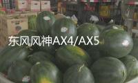 東風風神AX4/AX5/A60/現代菲斯塔/原裝啟停電瓶EFB60AH汽車蓄電池