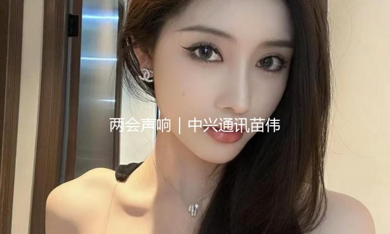 两会声响｜中兴通讯苗伟：主张处理骚扰电话、虚伪营销等痛点问题 — 新京报