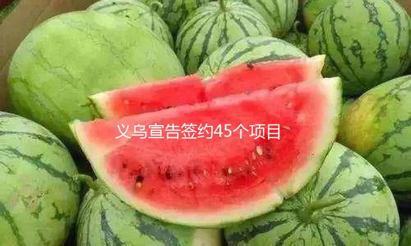 义乌宣告签约45个项目 总投资额达732.17亿元 — 新京报