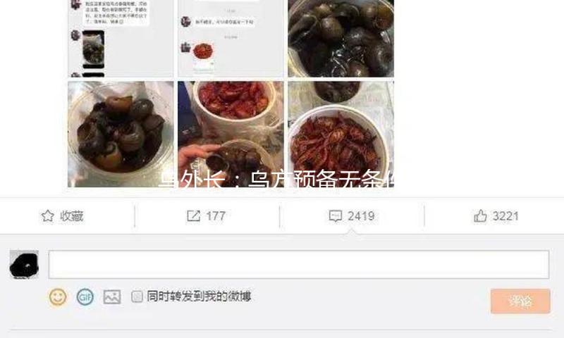 乌外长：乌方预备无条件停火至少30天 — 新京报