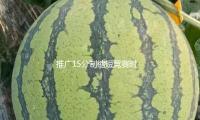 推廣15分制縮短競賽時刻，這次國際羽聯的變革能成功嗎？
