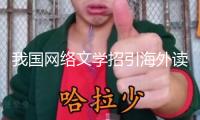 我國網(wǎng)絡(luò)文學(xué)招引海外讀者群