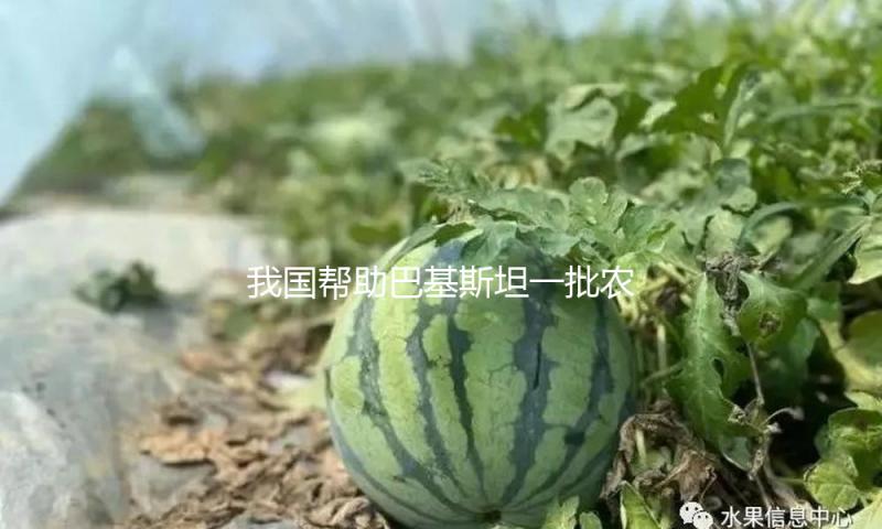 我国帮助巴基斯坦一批农机配备
