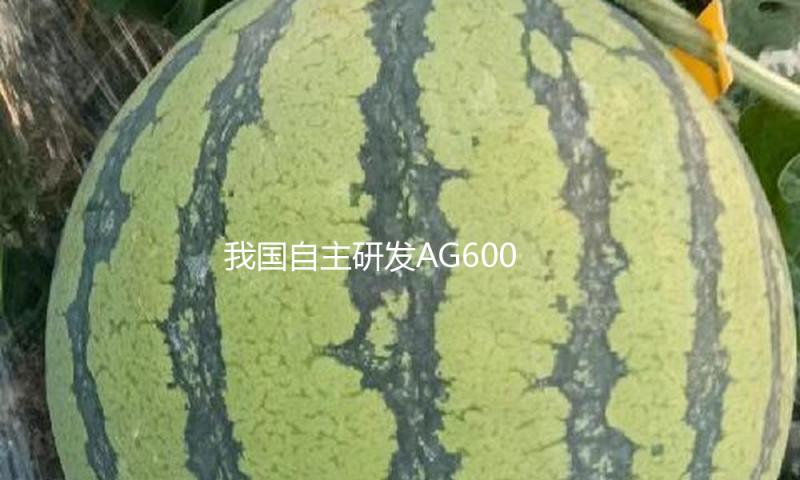 我国自主研发AG600飞机获得类型合格证 — 新京报