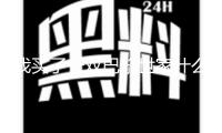 我買了一雙巴黎世家什么梗