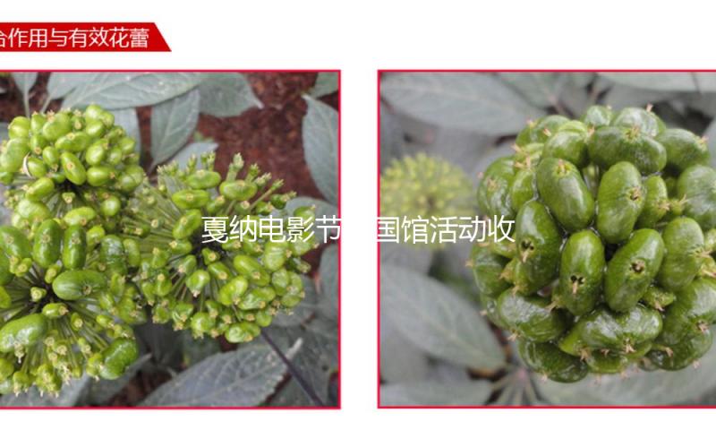 戛纳电影节中国馆活动收官，青年电影人依然是焦点
