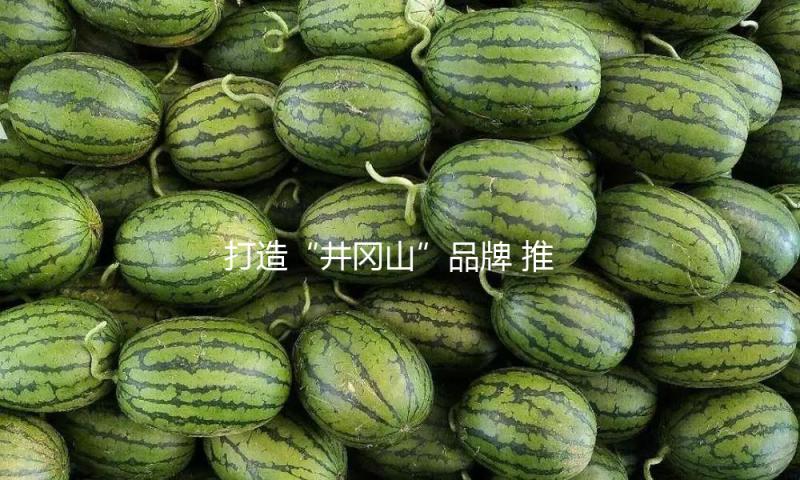 打造“井冈山”品牌 推进老区村庄复兴