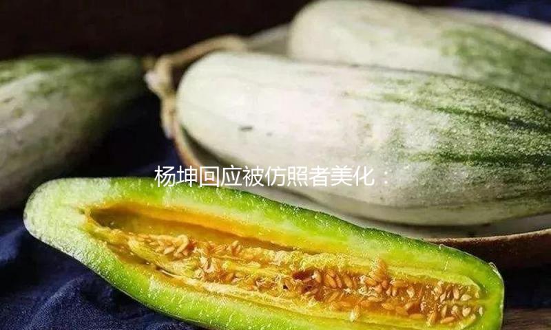 杨坤回应被仿照者美化：流量不该建在蹂躏庄严上