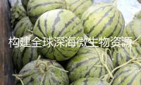 構(gòu)建全球深海微生物資源庫(kù)，聯(lián)合國(guó)這項(xiàng)大科學(xué)方案全球總部設(shè)在上海