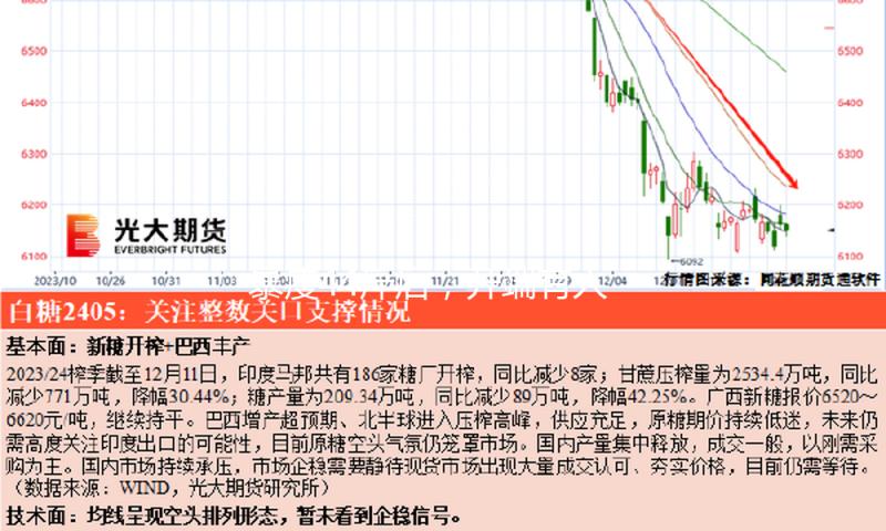 暴瘦44斤后，开端有人给麦琳抱歉了
