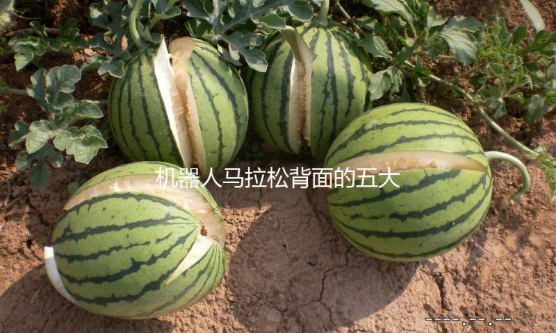机器人马拉松背面的五大启示：未来社会与机器人的深度交融