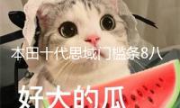 本田十代思域門檻條8八9九10代思域改裝內飾車貼配件汽車迎賓踏板