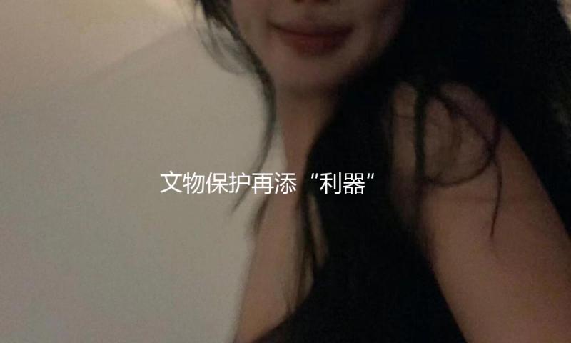 文物保护再添“利器” 科技加持撑起文物抗震“保护网”