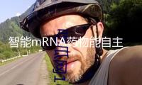 智能mRNA藥物能自主調(diào)整效果，敞開精準(zhǔn)醫(yī)學(xué)新窗口
