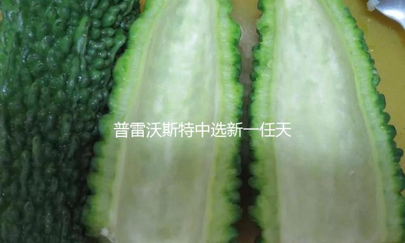 普雷沃斯特中选新一任天主教罗马教皇