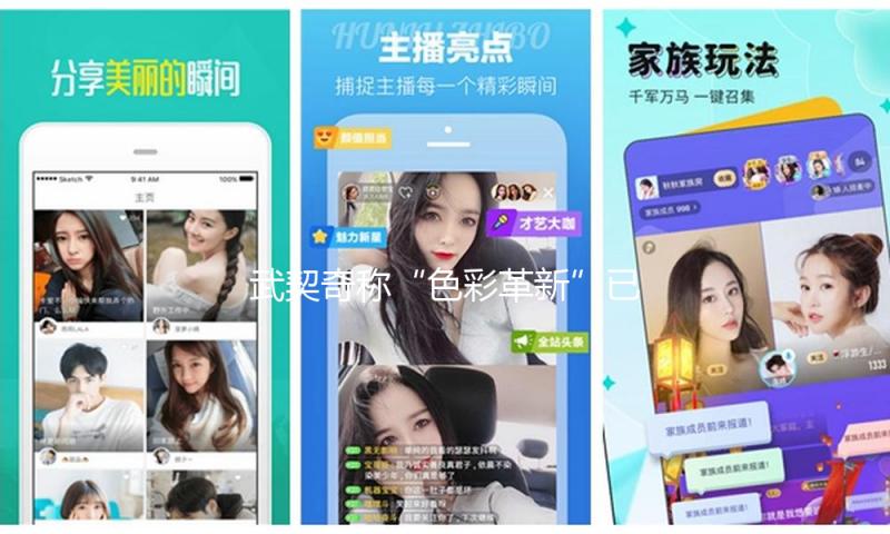 武契奇称“色彩革新”已完毕，外国实力进犯不会达到目的