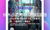桃木小葫蘆串中國結(jié)家居客廳汽車掛件平安納福八寶葫蘆隨身攜帶