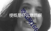 梗概是什么意思啊