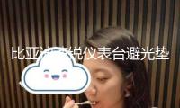 比亞迪速銳儀表臺避光墊汽車內飾裝飾用品配件中控臺改裝防曬墊