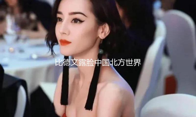 比德文露脸中国北方世界自行车电动车博览会